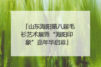 山东海阳第八届毛衫艺术展暨“海阳印象”嘉年华启幕