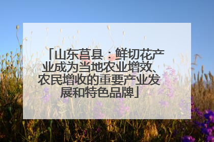 山东莒县：鲜切花产业成为当地农业增效、农民增收的重要产业发展和特色品牌
