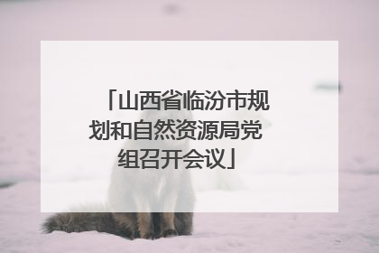 山西省临汾市规划和自然资源局党组召开会议