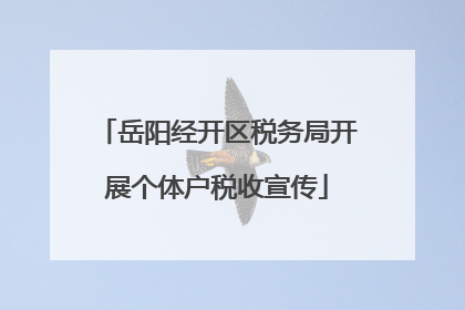 岳阳经开区税务局开展个体户税收宣传