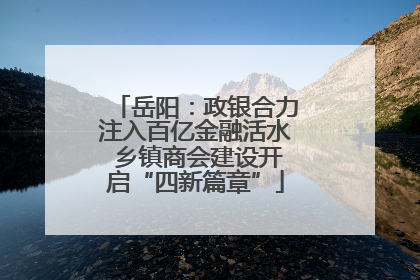 岳阳：政银合力注入百亿金融活水 乡镇商会建设开启“四新篇章”