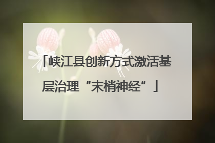 峡江县创新方式激活基层治理“末梢神经”