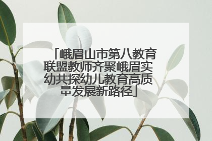 峨眉山市第八教育联盟教师齐聚峨眉实幼共探幼儿教育高质量发展新路径