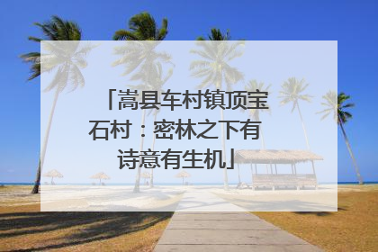 嵩县车村镇顶宝石村：密林之下有诗意有生机