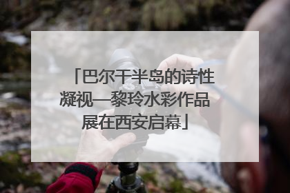 巴尔干半岛的诗性凝视—黎玲水彩作品展在西安启幕