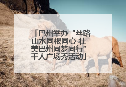 巴州举办“丝路山水同根同心 壮美巴州同梦同行”千人广场秀活动