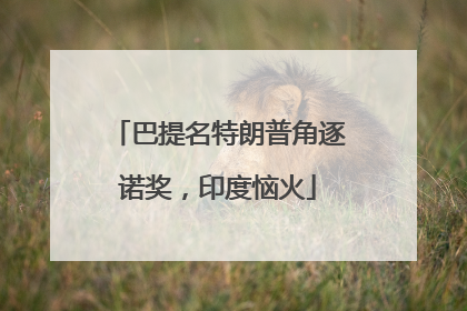 巴提名特朗普角逐诺奖，印度恼火
