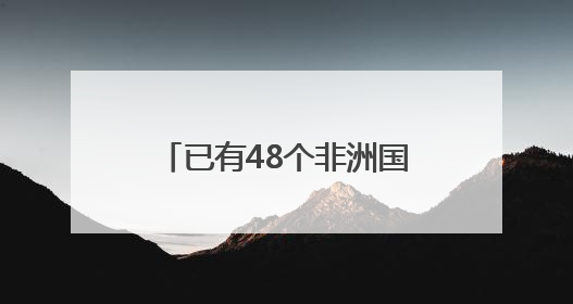 已有48个非洲国家报名参会第四届中非经贸博览会