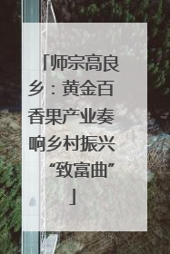 师宗高良乡：黄金百香果产业奏响乡村振兴“致富曲”