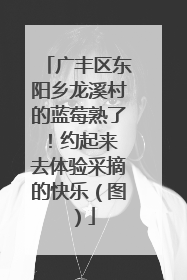 广丰区东阳乡龙溪村的蓝莓熟了！约起来 去体验采摘的快乐（图）