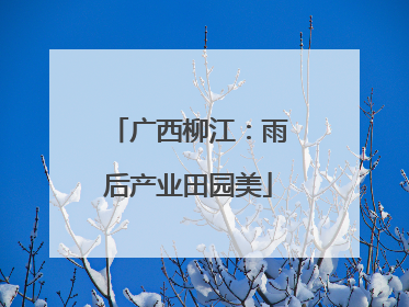 广西柳江：雨后产业田园美