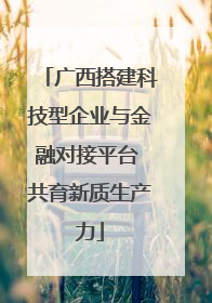 广西搭建科技型企业与金融对接平台 共育新质生产力