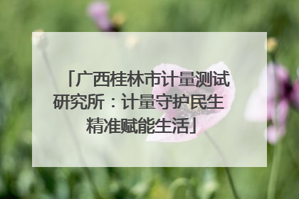 广西桂林市计量测试研究所：计量守护民生 精准赋能生活