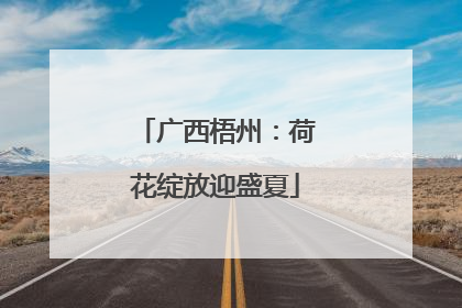 广西梧州：荷花绽放迎盛夏