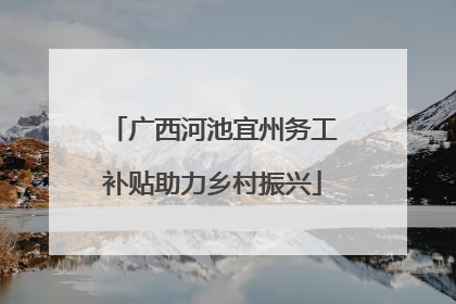 广西河池宜州务工补贴助力乡村振兴
