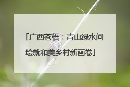 广西苍梧：青山绿水间绘就和美乡村新画卷