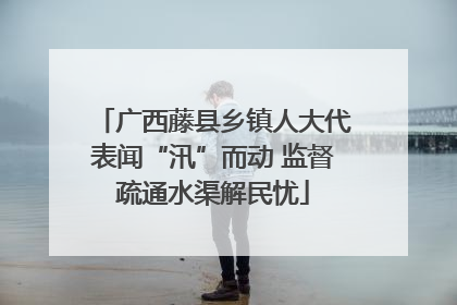 广西藤县乡镇人大代表闻“汛”而动 监督疏通水渠解民忧