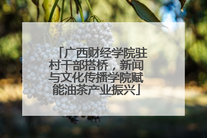 广西财经学院驻村干部搭桥，新闻与文化传播学院赋能油茶产业振兴