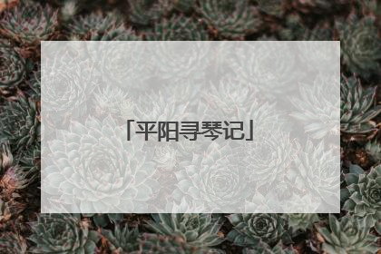 平阳寻琴记