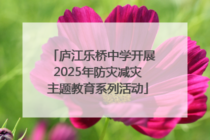 庐江乐桥中学开展2025年防灾减灾主题教育系列活动