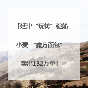 延津“玩转”强筋小麦 “魔方面包”卖出132万单