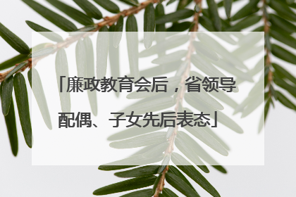 廉政教育会后，省领导配偶、子女先后表态