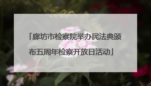 廊坊市检察院举办民法典颁布五周年检察开放日活动