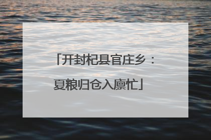 开封杞县官庄乡：夏粮归仓入廪忙
