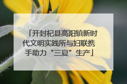 开封杞县高阳镇新时代文明实践所与妇联携手助力“三夏”生产
