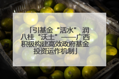 引基金“活水” 润八桂“沃土”——广西积极构建高效政府基金投资运作机制
