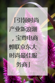 引领时尚产业新浪潮，宝尊电商蝉联京东大时尚最佳服务商