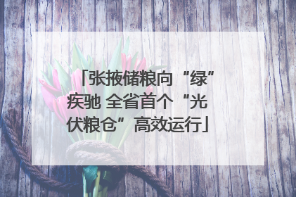 张掖储粮向“绿”疾驰 全省首个“光伏粮仓”高效运行