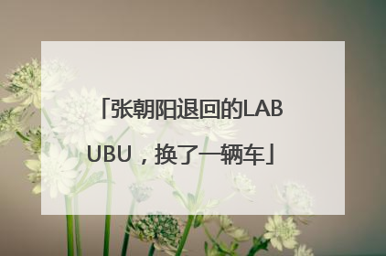 张朝阳退回的LABUBU，换了一辆车