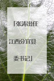 张涛出任江西分宜县委书记