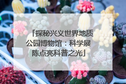 探秘兴义世界地质公园博物馆：科学展陈点亮科普之光