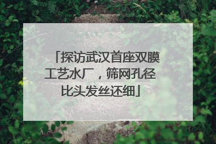 探访武汉首座双膜工艺水厂，筛网孔径比头发丝还细