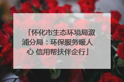 怀化市生态环境局溆浦分局：环保服务暖人心 信用帮扶伴企行