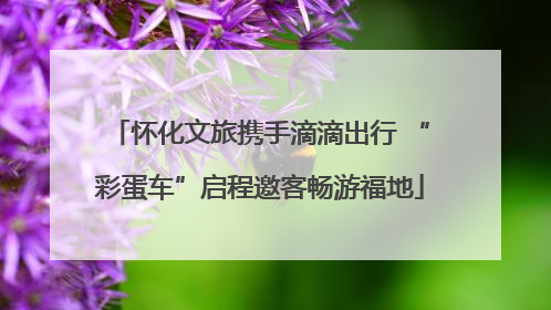 怀化文旅携手滴滴出行 “彩蛋车”启程邀客畅游福地