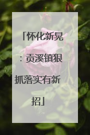 怀化新晃：贡溪镇狠抓落实有新招