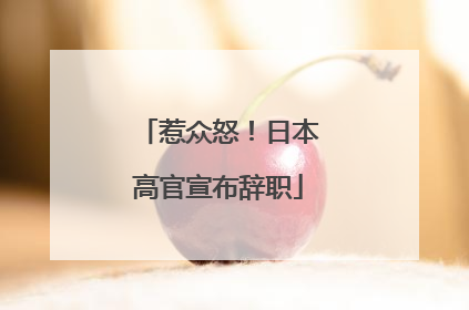 惹众怒！日本高官宣布辞职