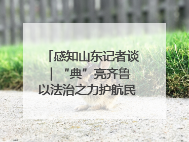 感知山东记者谈｜“典”亮齐鲁 以法治之力护航民生与营商环境