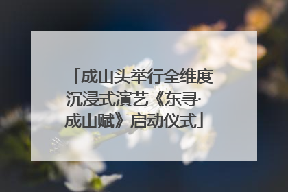 成山头举行全维度沉浸式演艺《东寻·成山赋》启动仪式