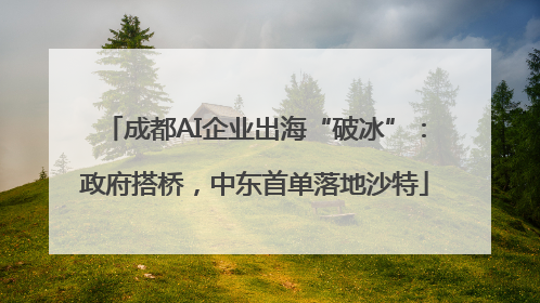 成都AI企业出海“破冰”：政府搭桥，中东首单落地沙特