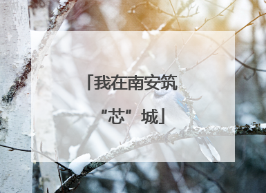 我在南安筑“芯”城