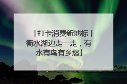 打卡消费新地标丨衡水湖边走一走，有水有鸟有乡愁