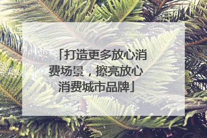打造更多放心消费场景，擦亮放心消费城市品牌