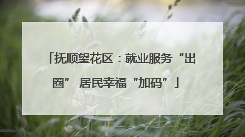 抚顺望花区：就业服务“出圈” 居民幸福“加码”