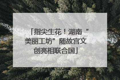 指尖生花！湖南“美丽工坊”随故宫文创亮相联合国