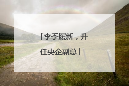 李季履新，升任央企副总