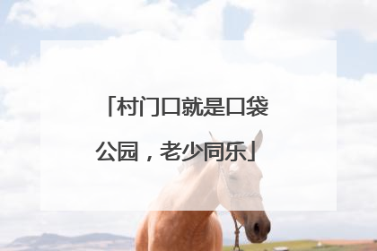 村门口就是口袋公园，老少同乐